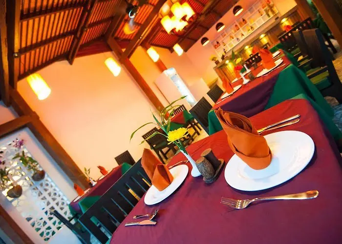 Bamboo Forest Boutique